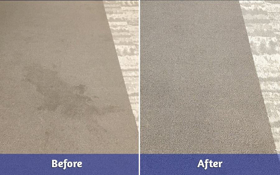 Before and After of Commercial Carpet Cleaning