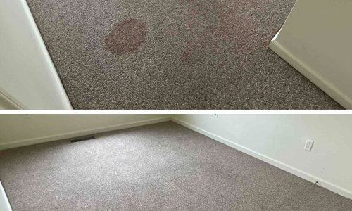 Before and after photo of residential carpet cleaning