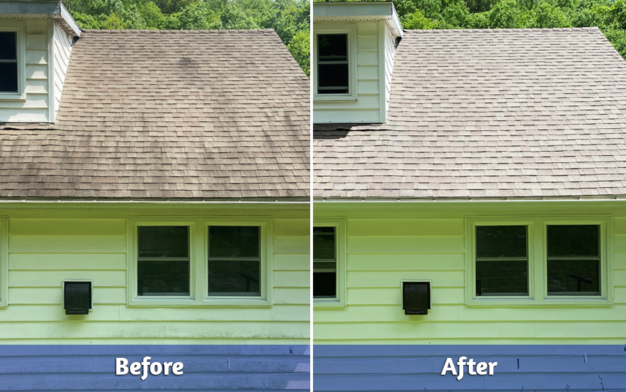 Before and After of Roof Cleaning