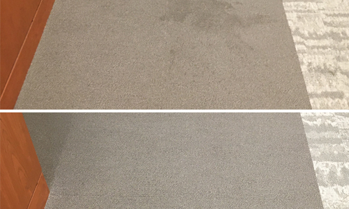 Before and after photo of a pet stain on residential carpet