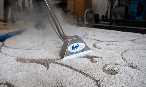 Steam cleaning a rug