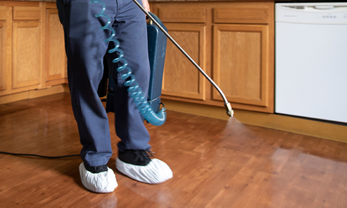 Spraying cleaner on hardwood flooring in a residential kitchen